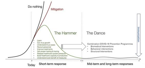 "The Hammer and The Dance": phases to face COVID-19 pandemic. Adapted from Pueyo T.